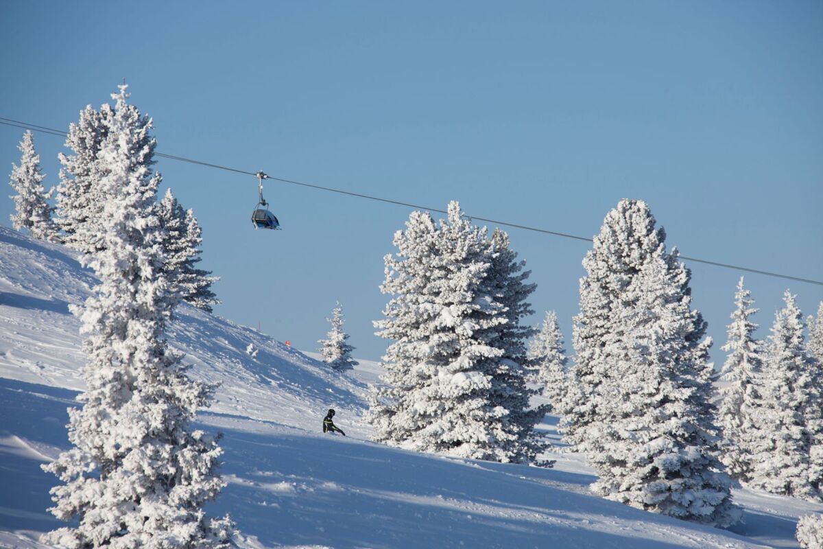 Winter_Zillertal_Arena_18_.jpg